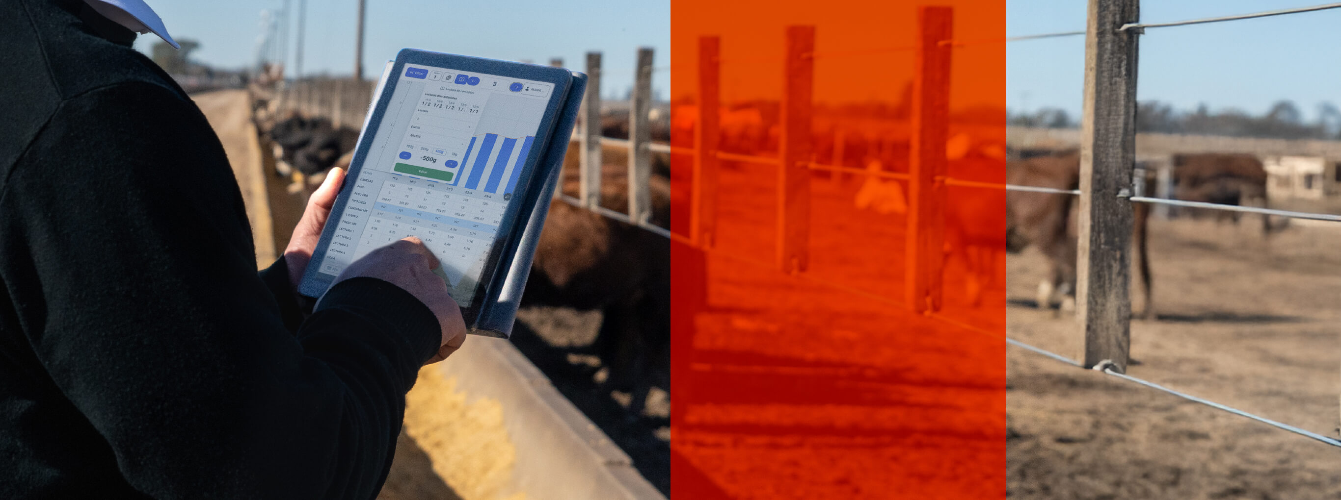 Z1_Header-Desk_Datos_1