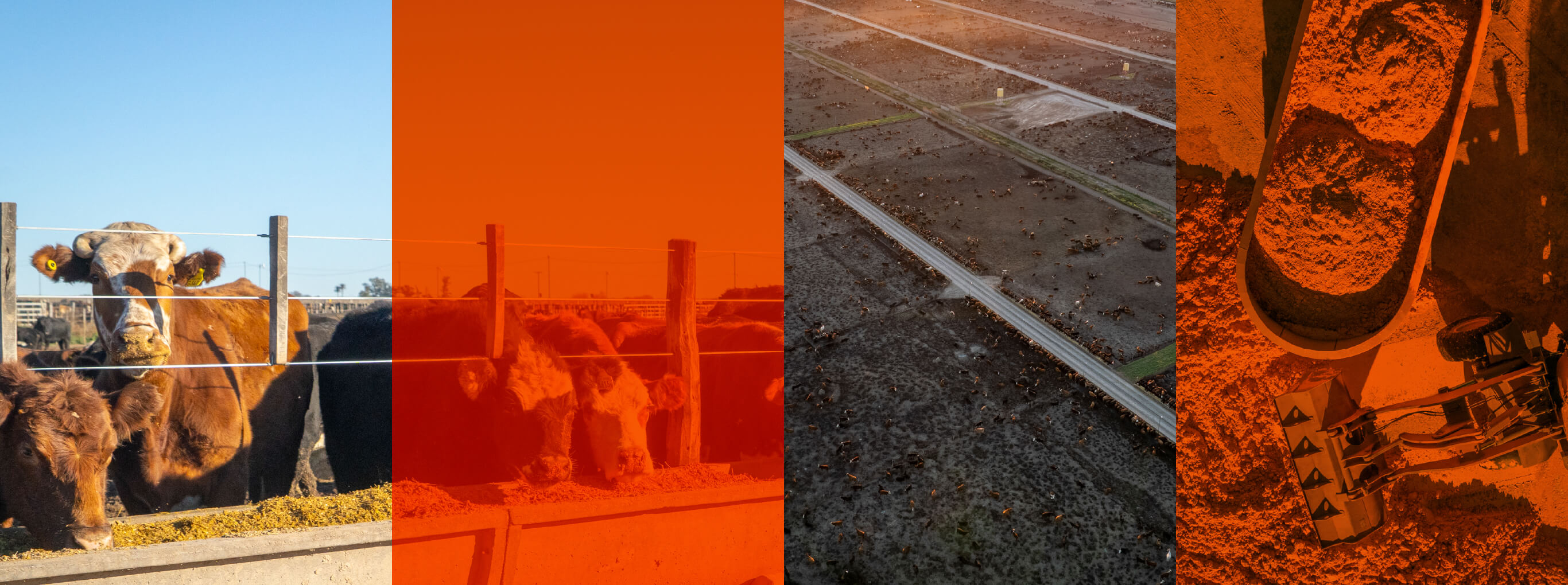 Z1_Header-Desk_Experiencia_1