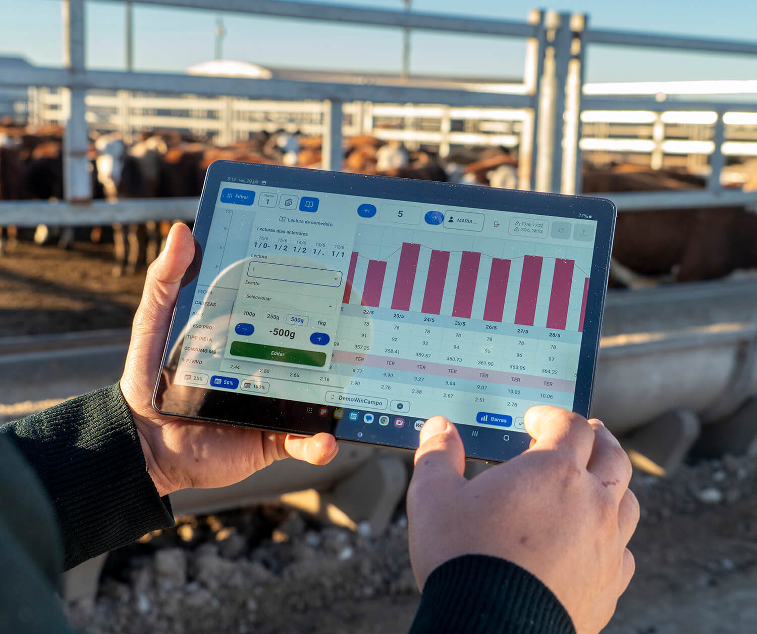 Wincampo en uso en el feedlot